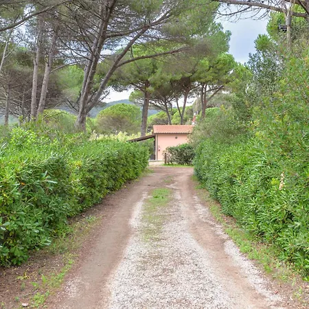 Appartamento Sulla Di Lacona